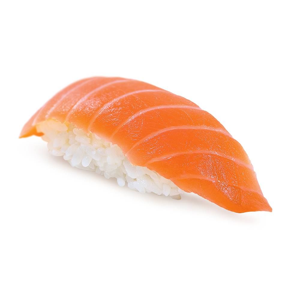 salmon